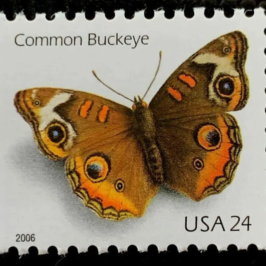 2006 Common Buckeye Butterfly First Class Postage Stamps image 0